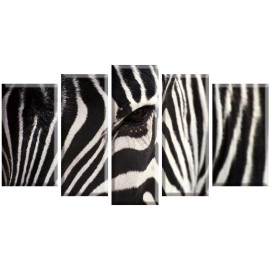 Tablouri canvas Figura zebra 2569